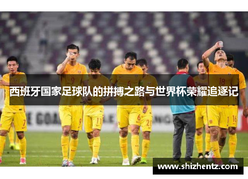 西班牙国家足球队的拼搏之路与世界杯荣耀追逐记